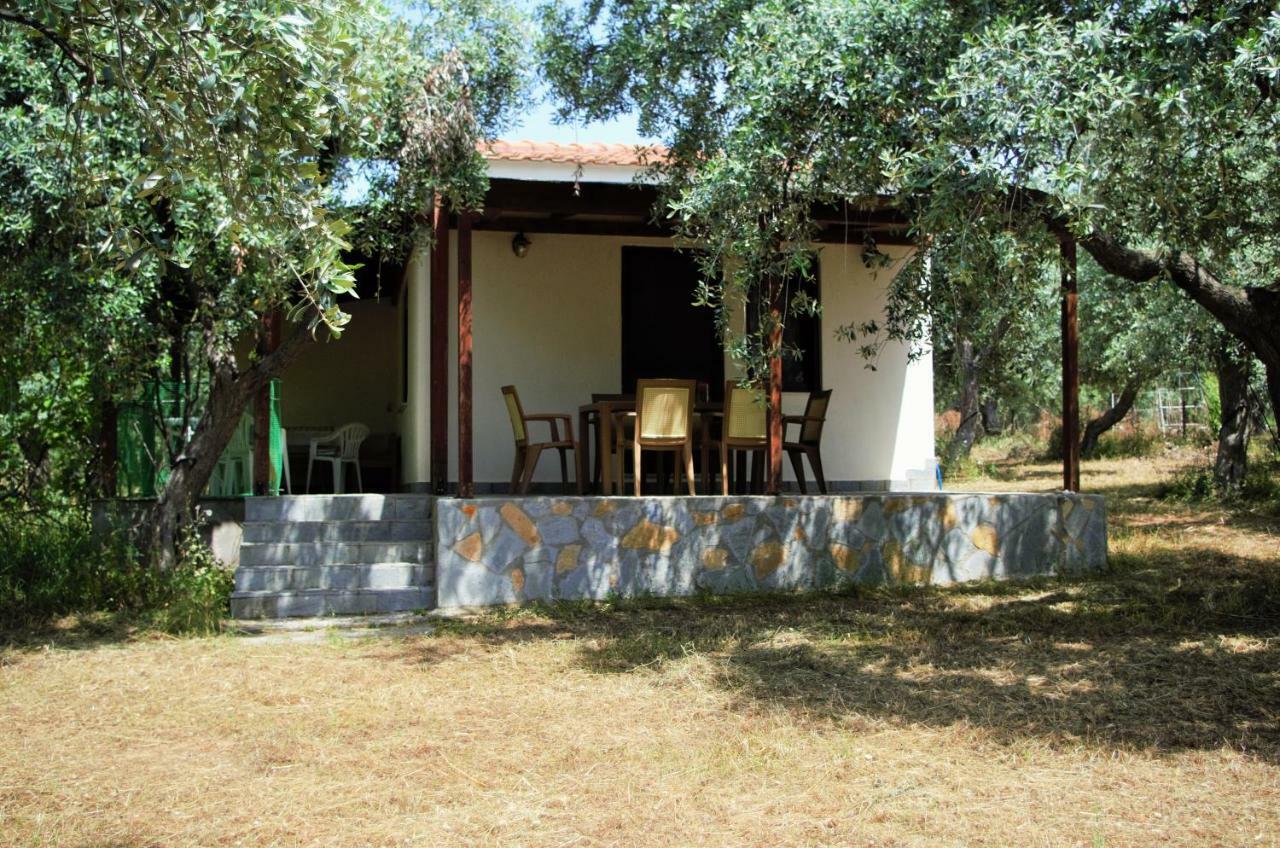 הוילה סקאלה סוטירוס Ktima Elia מראה חיצוני תמונה
